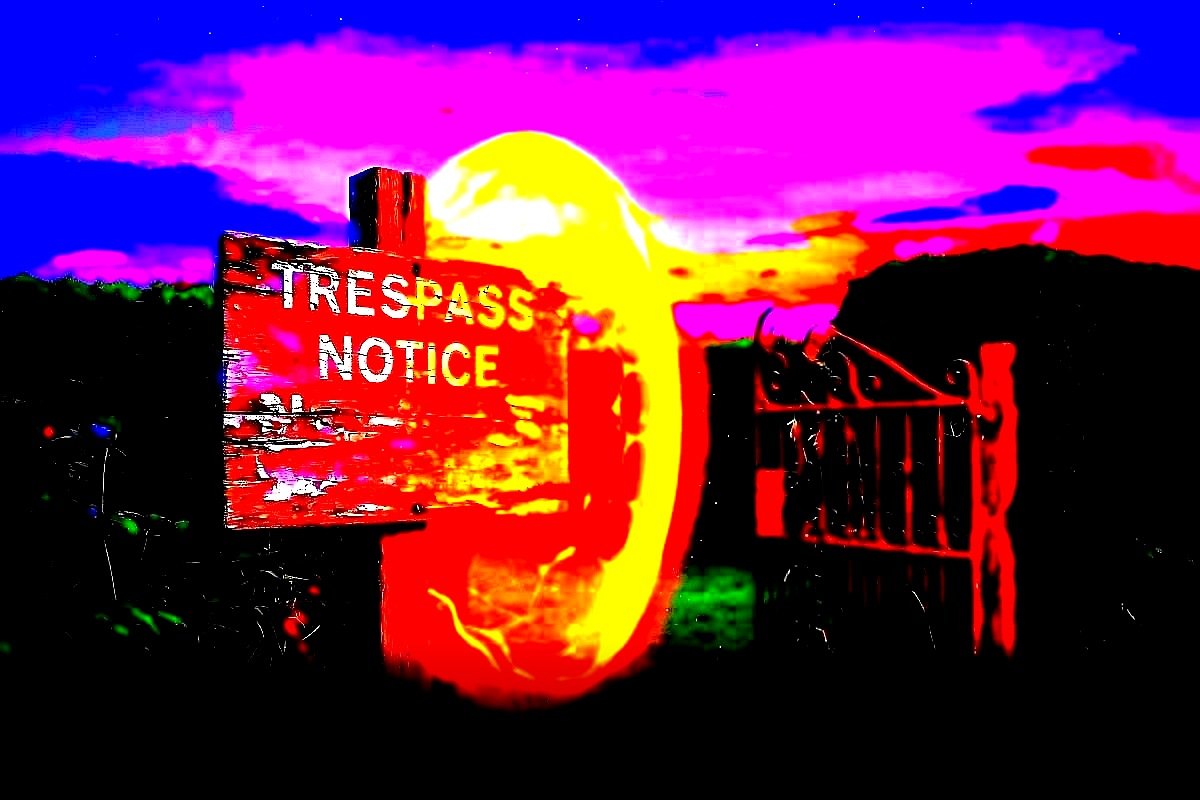 Cover art for The Trespass Notice — How a Sign at the Boundary Can Change What Follows