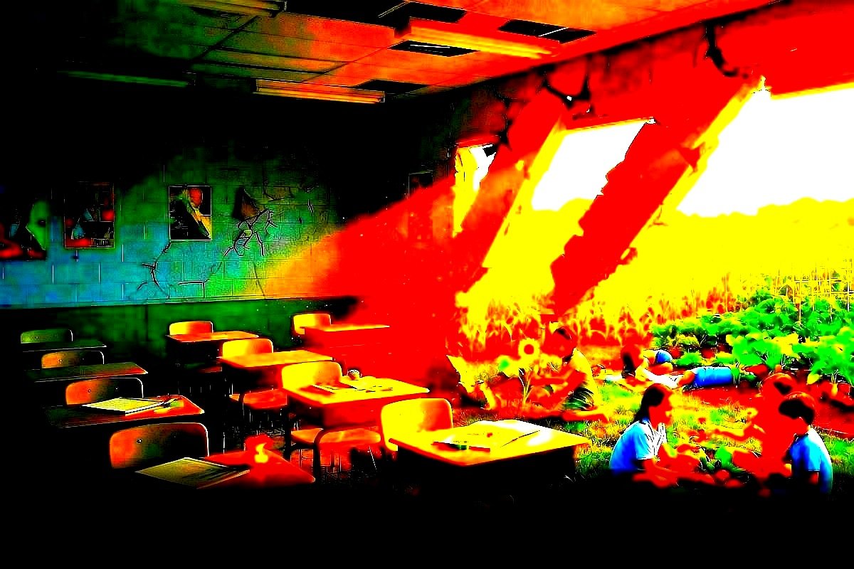 Cover art for What School Really Prepared You For — as well as the empowerment to live peacefully and independently that was conspicuously missing